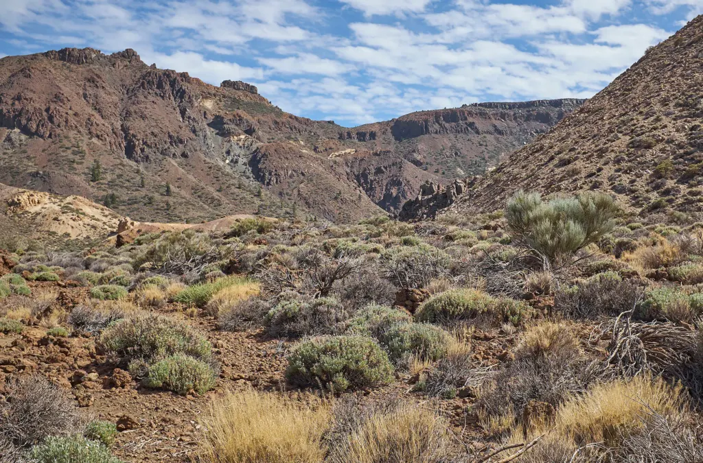 Las Canarias — landscape and travel photograph in Canary Islands, Spain, frame 9 of 28.